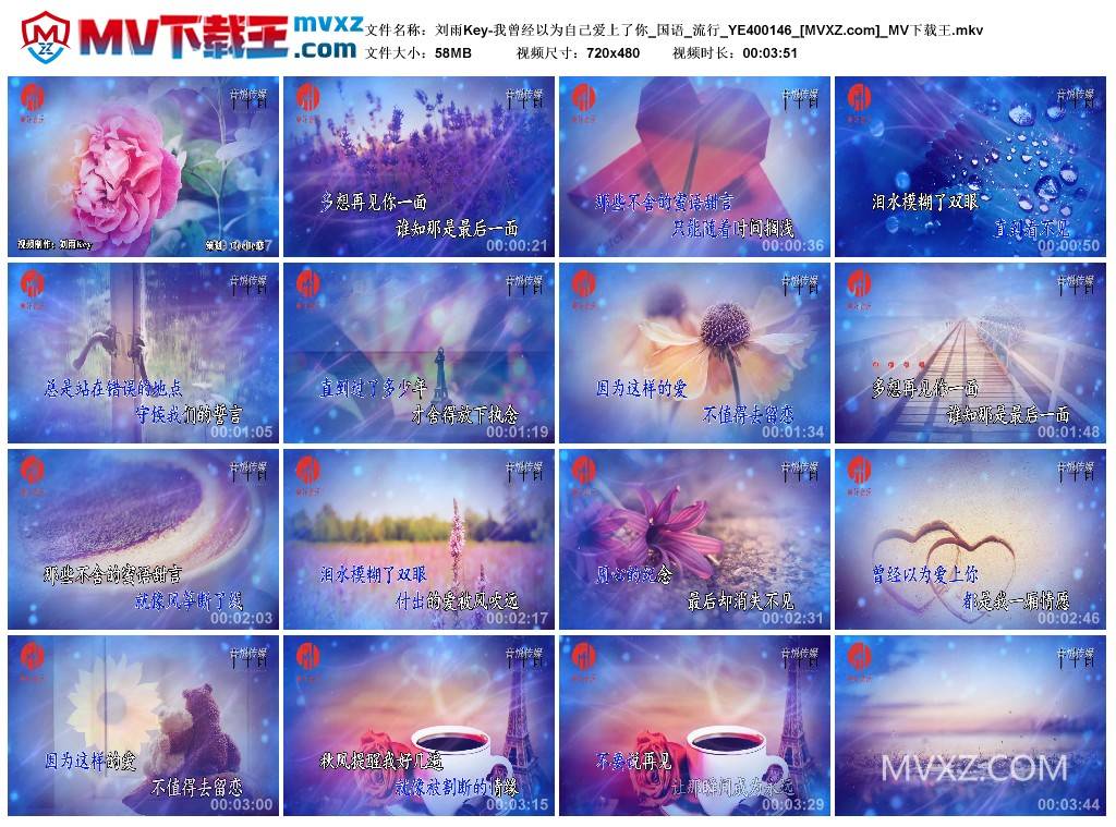刘雨Key-我曾经以为自己爱上了你_国语_流行_YE400146